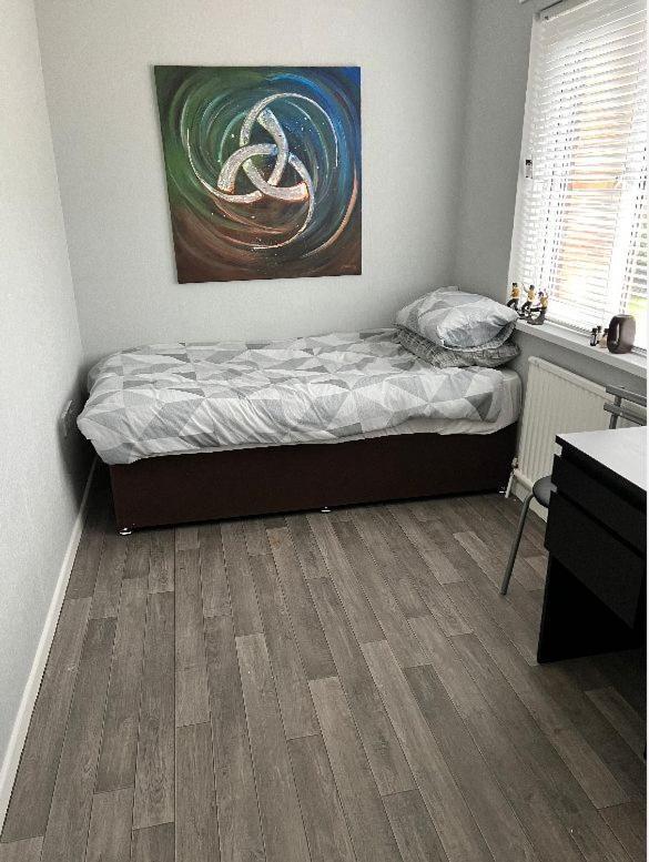 Macs Belfast Single Bedroom Dış mekan fotoğraf