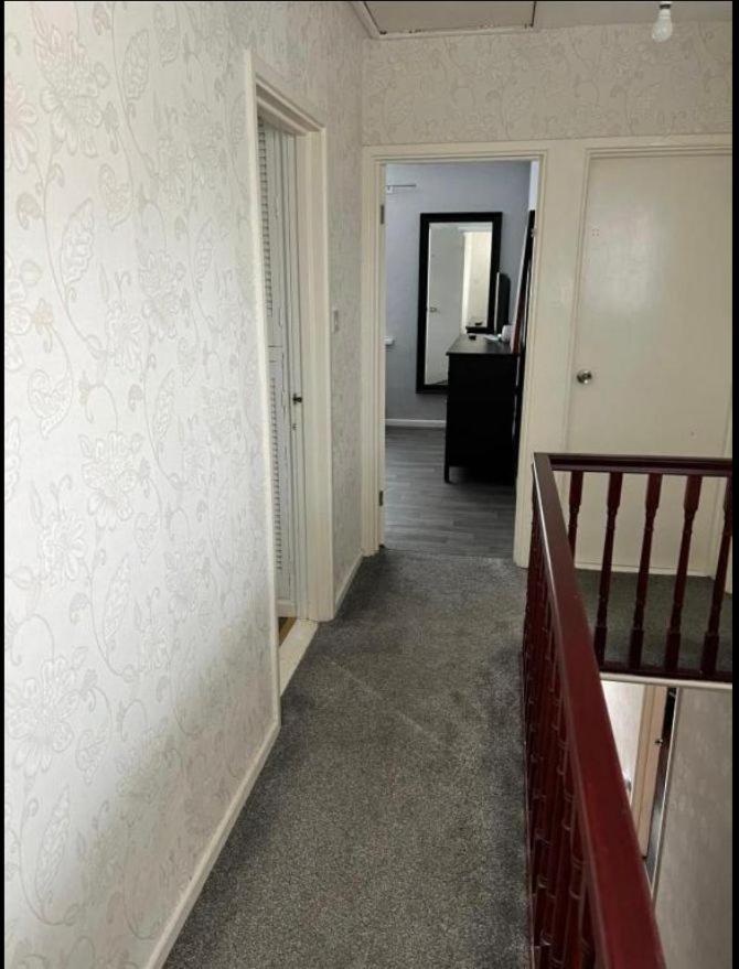 Macs Belfast Single Bedroom Dış mekan fotoğraf